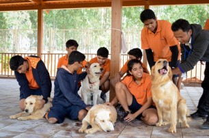 pet1 (3)