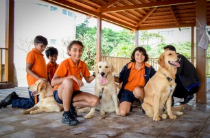 pet2 (1)